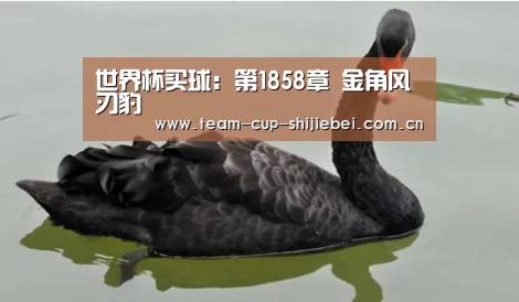 世界杯买球:第1858章 金角风刃豹(图2) 世界杯投注站