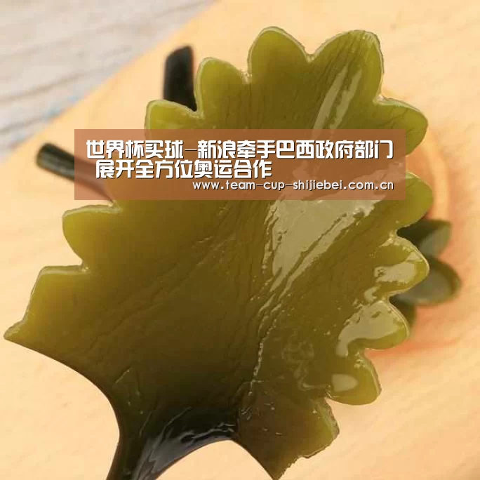世界杯买球-新浪牵手巴西政府部门 展开全方位奥运合作(图4) 世界杯投注站